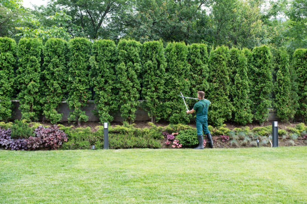 Best Lawn Mowing Services  in Walled Lake, MI